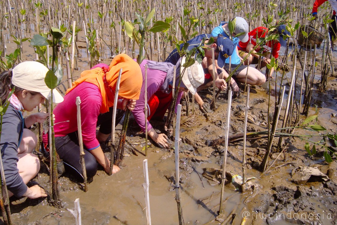 Climate for Peace indonesia